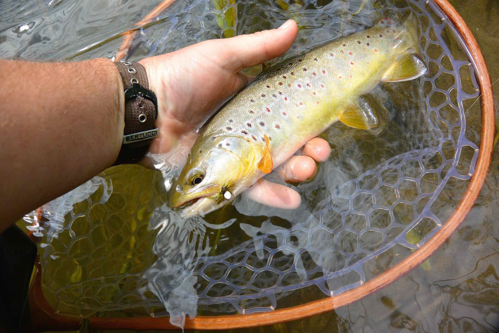 Keystone Fly Guides We Are Fly Fishing