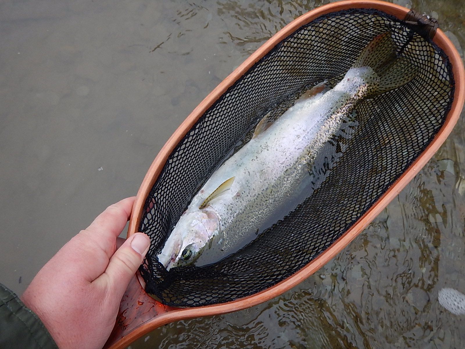 Keystone Fly Guides We Are Fly Fishing